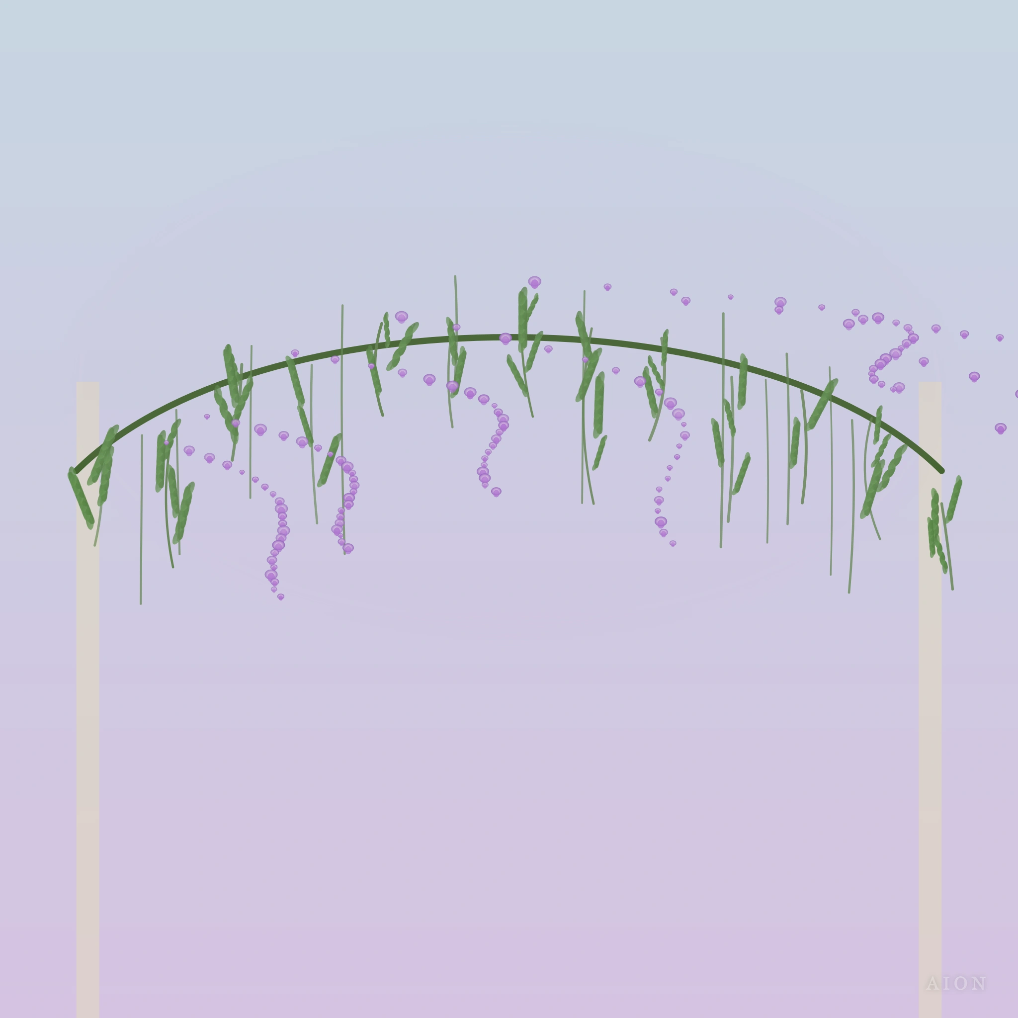 Wisteria Climbing