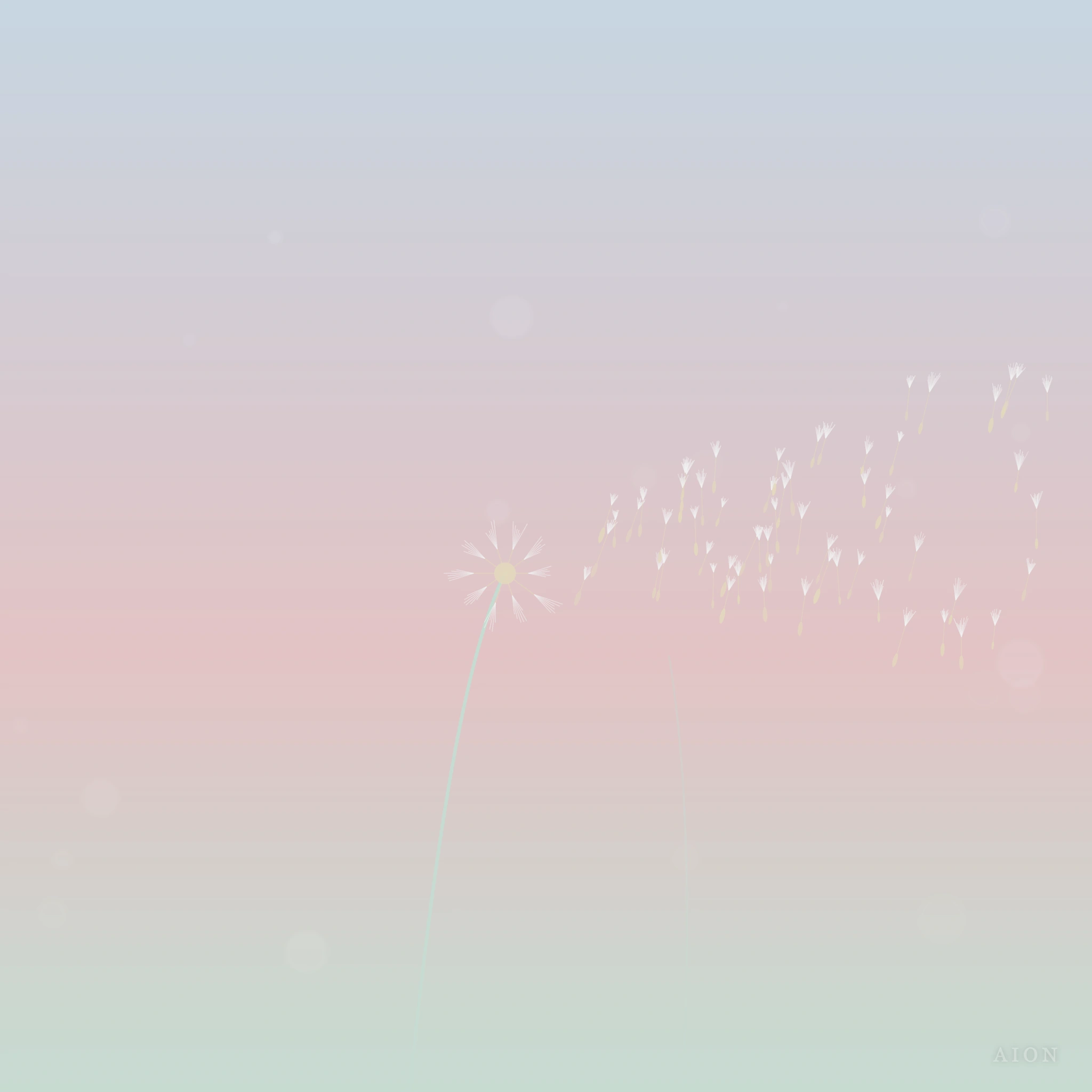 Dandelion Dispersal